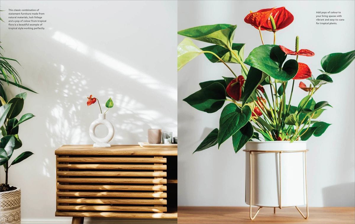 Tropical by Easy Home Style Series