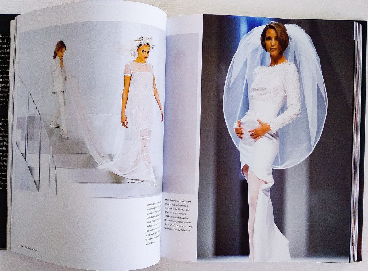 The Dress by Marnie Fogg