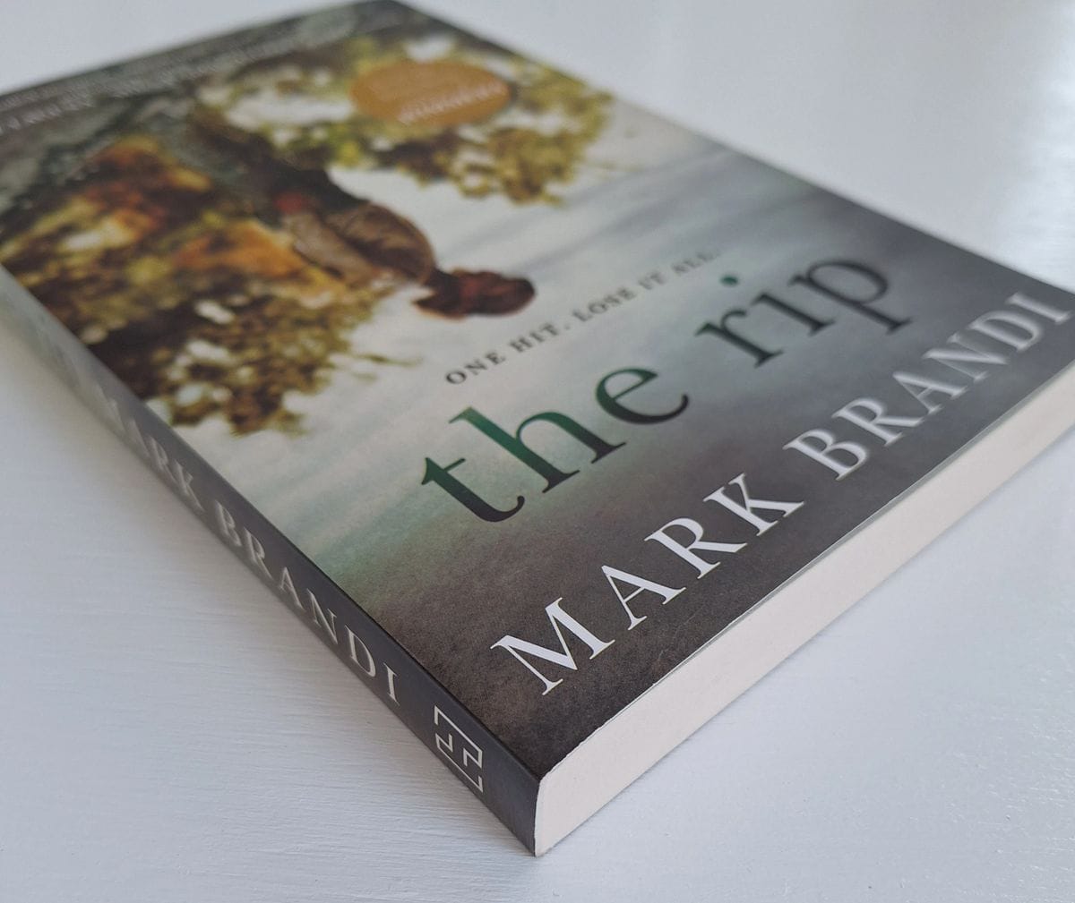 The Rip by Mark Brandi